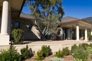 Modern home exterior with stone and stucco, columned porch, mature olive tree, and drought-resistant landscaping against mountains